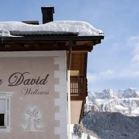 David Dolomites 酒店