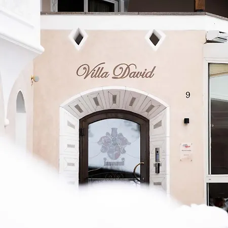 David Dolomites 3* 塞尔瓦迪加尔代纳山谷