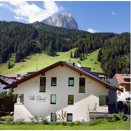 David Dolomites 3* 塞尔瓦迪加尔代纳山谷