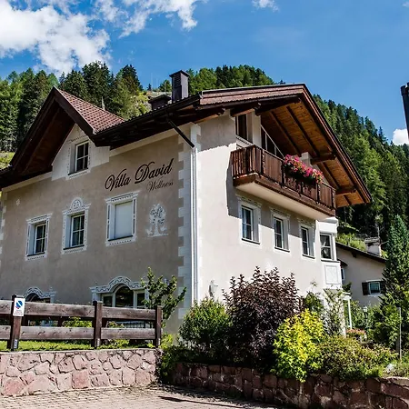 David Dolomites 3*