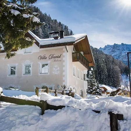 David Dolomites 3* 塞尔瓦迪加尔代纳山谷